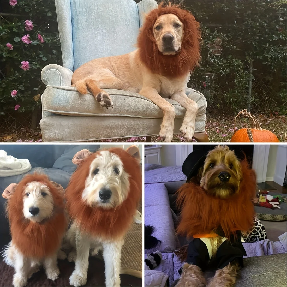 Thumbnail 11